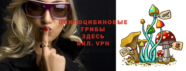 дурь Арсеньев