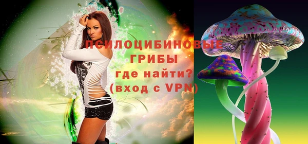 МДПВ Армянск