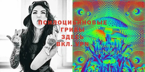 дурь Арсеньев