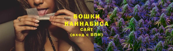 дурь Арсеньев