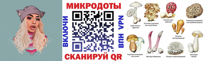 наркотики  Долгопрудный  Псилоцибиновые грибы MAGIC MUSHROOMS 